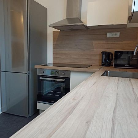 Spacieux Appartement Au Centre Du Mans Le Mans Eksteriør billede